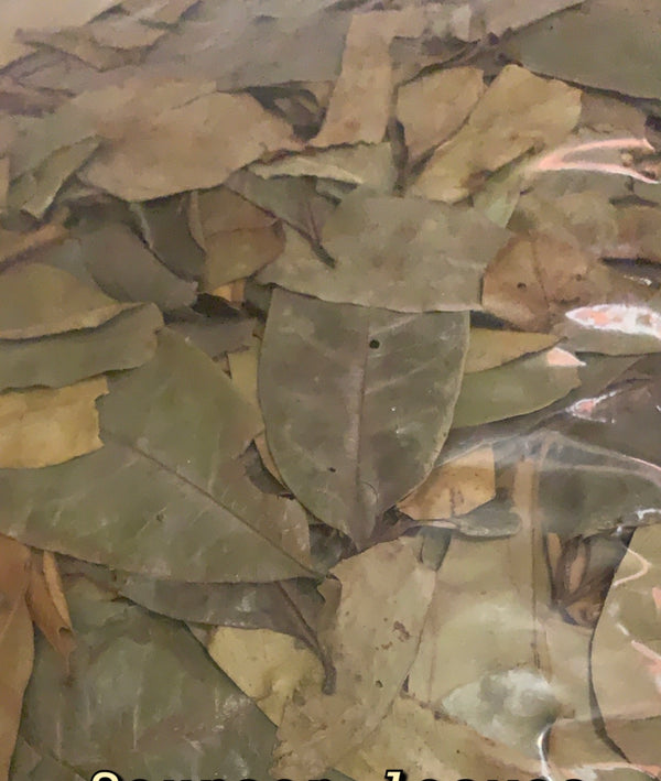 Soursop Leaves